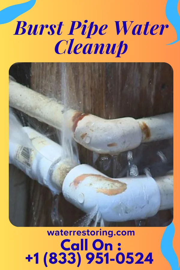 Burst Pipe Water Cleanup in Cumberland-Hesstown, NJ