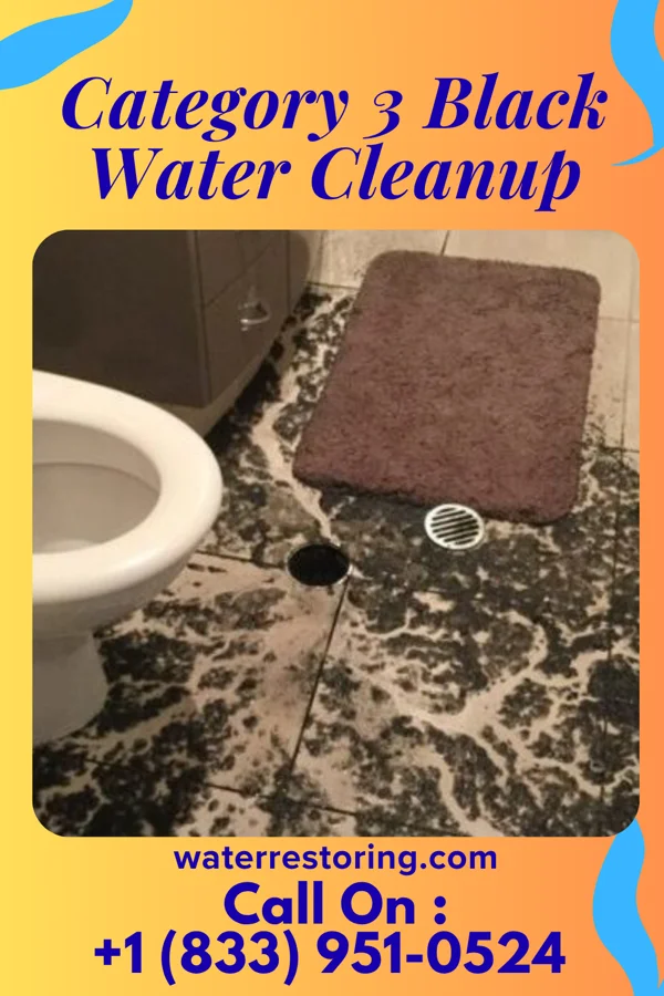 Category 3 Black Water Cleanup in Cumberland-Hesstown, NJ