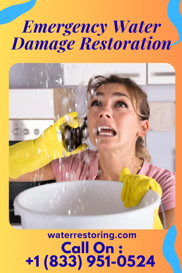 Emergency Water Damage Restoration in Cumberland-Hesstown, NJ