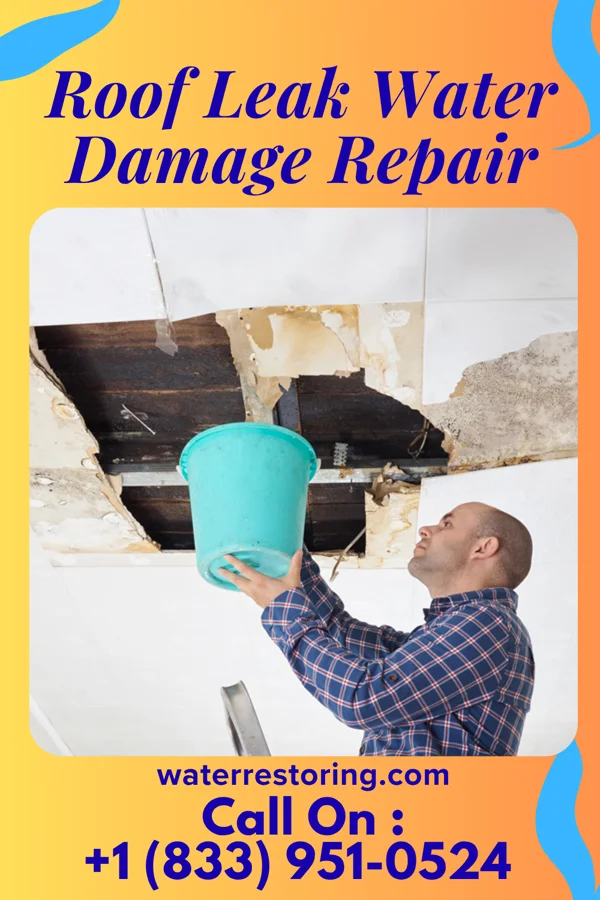 Roof Leak Water Damage Repair in Cumberland-Hesstown, NJ