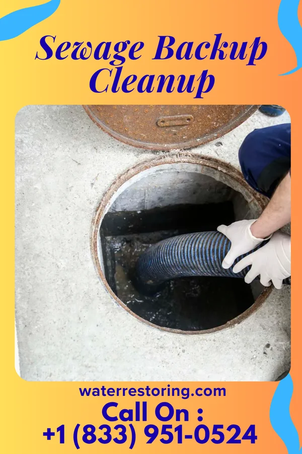Sewage Backup Cleanup in Cumberland-Hesstown, NJ