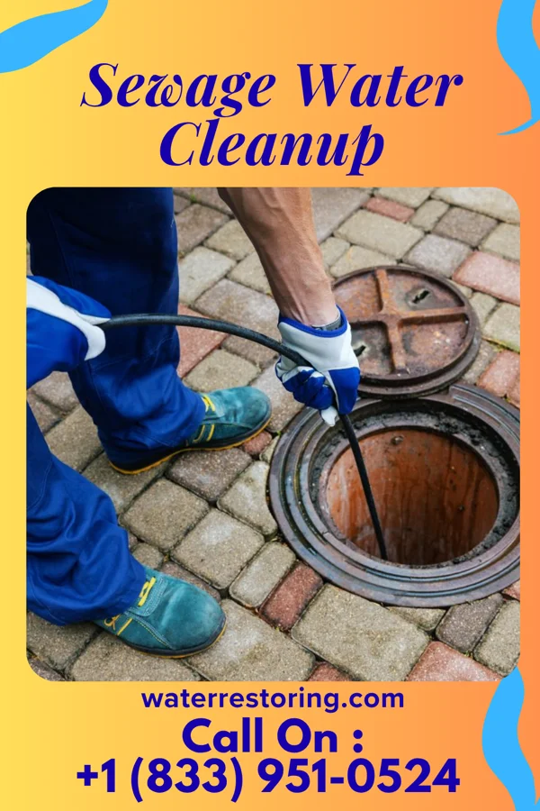 Sewage Water Cleanup in Cumberland-Hesstown, NJ