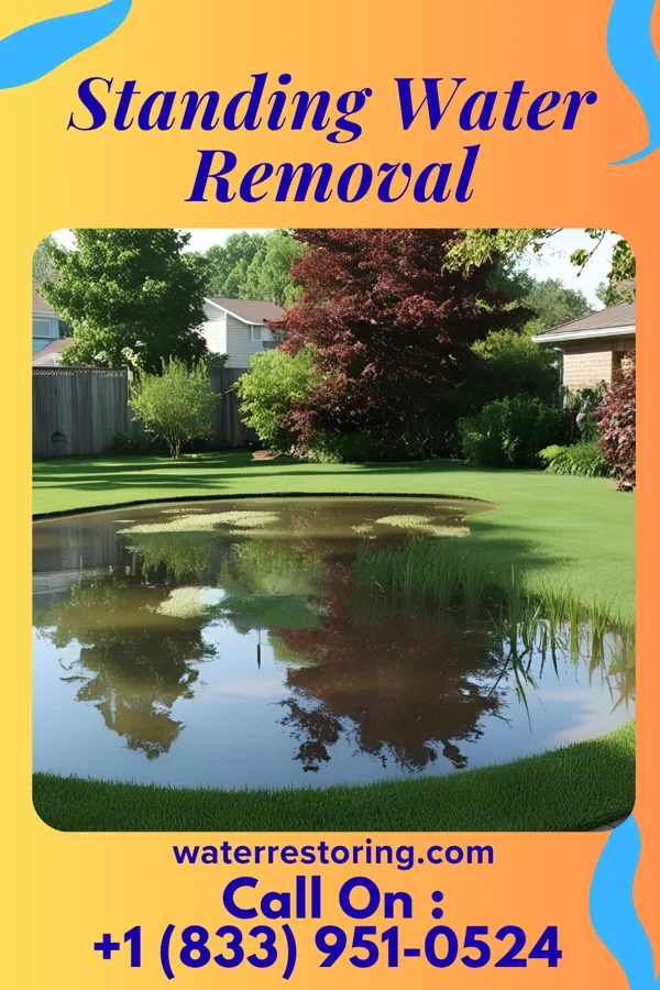 Standing Water Removal in Cumberland-Hesstown, NJ